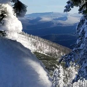 Meet your Posher, Shanta